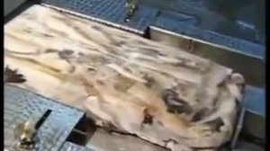 Оборудование для размораживания блоков рыбы