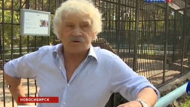 Кошка воспитывает тигрёнка смотреть онлайн