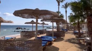 Albatros Citadel Resort 5* Обзор отеля/пляж/номера/для кого отель