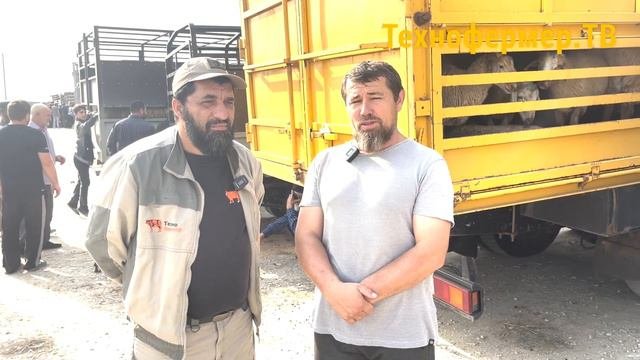 Сельскохозяйственная ярмарка манас 2022
