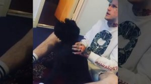 Собака lil peep на интервью.