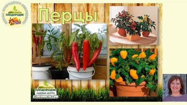 Огород на подоконнике - это очень познавательно!