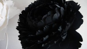 БОЛЬШИЕ ЦВЕТЫ ИЗ БУМАГИ, РОСТОВЫЕ ЦВЕТЫ. ПИОНЫ ИЗ ГОФРИРОВАННОЙ БУМАГИ.