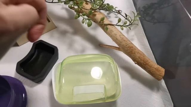 Как обустроить недорогой террариум для эублефара, геккона, маисового полоза смотреть онлайн