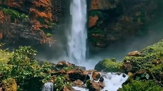 Коллекторы научились пользоваться модулятором голоса