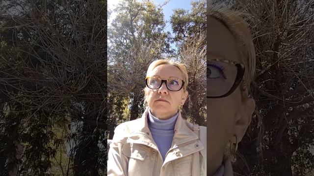 Выехали из деревни!... Все познается в сравнении.