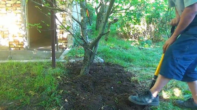 Моя дача 9 смотреть онлайн