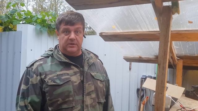 ПЕРЕПЕЛКИ . Новый брудер. Лучший термодатчик. ДАЧА для пе
