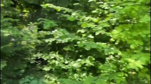 Продаётся участок 20 соток г.Апрелевка, ул.Кутузова, д.2 (пос.Фрунзевец)