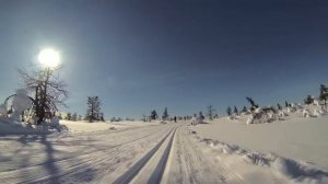 Finnish Lapland Mustavaara катание на беговых лыжах