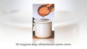 МИЛЬТОНИЯ | Орхидея | Уход и разведение в домашних условиях
