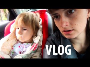 ВЛОГ Ищем дом для Мили Ванили Алексей Ко Мими Лисса часть #3 / День рождения моей мамы  VLOG