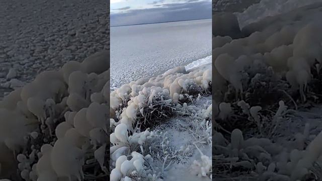 14 февраля 2021 г. Такого на р. Днепр увидишь не часто. смотреть онлайн