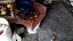 Зверек вредитель Карбыш