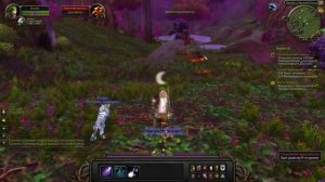 World of Warcraft - Ночной эльф охотник #7