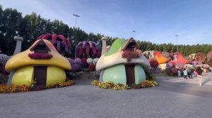 Парк цветов в Дубае (Miracle Garden). Самая романтическая достопримечательность в Эмиратах.