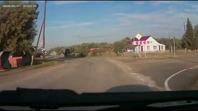 Камень-на-Оби – Баево проездом. Коровы чуть не забодали автомобиль смотреть онлайн