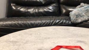 DIY 2 QUICK & EASY HOLIDAY CRAFTS! Pinterest Inspired, Homemade Wooden Garland & Pawprint Ornament!