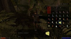 Gothic 2 Ночь Ворона #31 Хуан