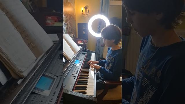 Роберт Виджесингх фортепиано "В старой Вене" 14.12.2020 смотреть онлайн