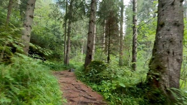 #Релакс #музыка Очень #красивая Музыка ,Сергей #Грищук, Ловим наслаждение #Relax music смотреть онлайн