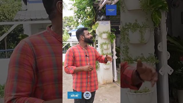 ഏറ്റവും ആദ്യം കാണേണ്ടത് ! KIDILAM FIROZ about Bougainvillea Plant Care in Malayalam | ബൊഗൈന് വില്ല