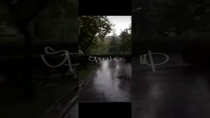 speed up (я знаю твой телефон, но никогда не позвоню) .