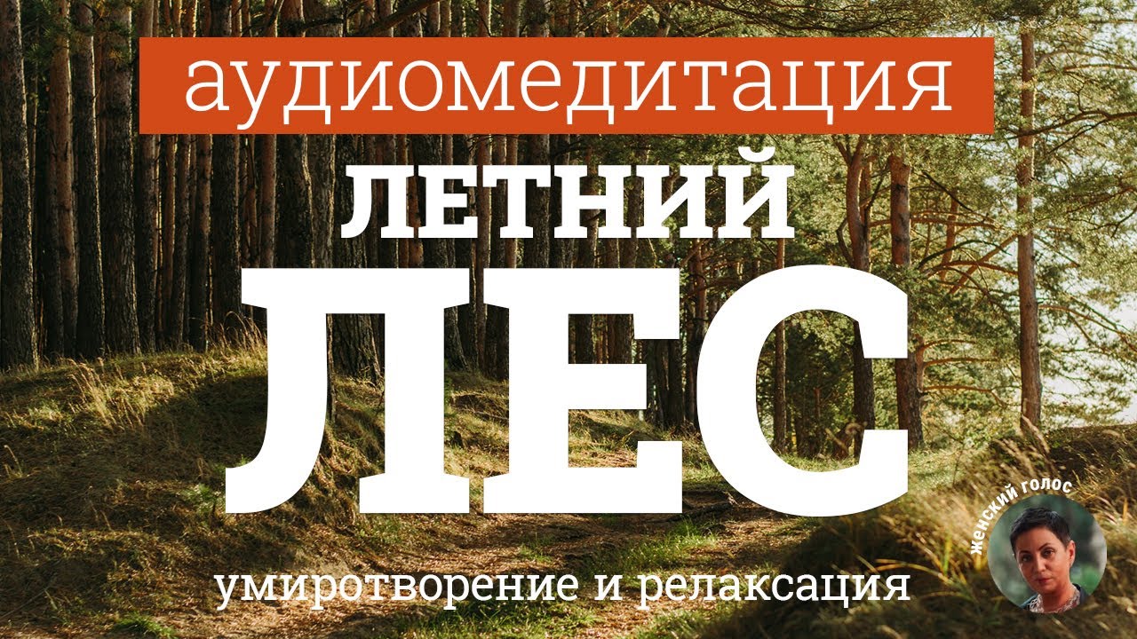 Аудимедитация — полная релаксация и расслабление через метафору летнего леса. Женский голос.