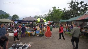 Harvest Mushrooms Go To Market Sell - Free Bushcraft | Phùng Thị Phương