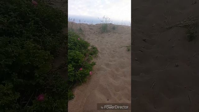 Приветнинское . Лето 2018 смотреть онлайн