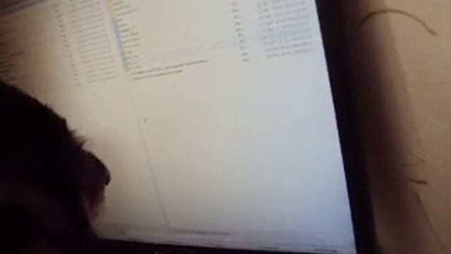 МОЯ СОБАКА ИЗУЧАЕТ КОМП смотреть онлайн