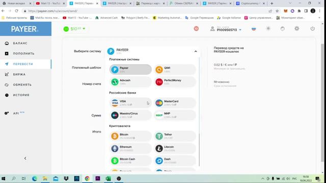 КАК ЗАРАБОТАТЬ НА PAYEER КОШЕЛЬКЕ В 2024 году / ПОЛНЫЙ ГАЙД /ИНСТРУКЦИЯ БИРЖА PAYEER
