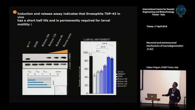 F. Feiguin - Neuronal and extraneuronal mechanism of neurodegeneration in ALS смотреть онлайн