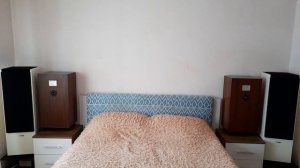 NAD c388, Canton CT100