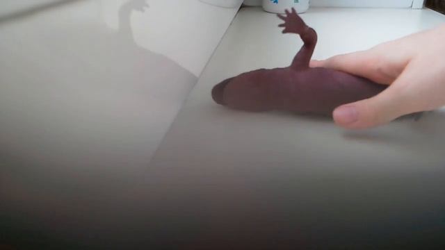 Ящерка смотреть онлайн