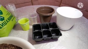 Мои секреты посадки ахименесов #ахименесы#посадка ахименесов#цветочные