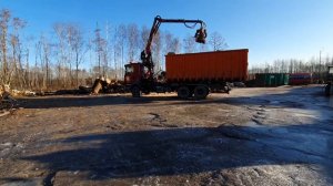 Какие деревья можно вырубать без разрешения в Эстонии.