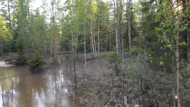 ВЕЗДЕХОД КПД-1 ОТЗЫВ ВЛАДЕЛЬЦА смотреть онлайн