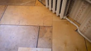 Основание под паркет - деревянный пол