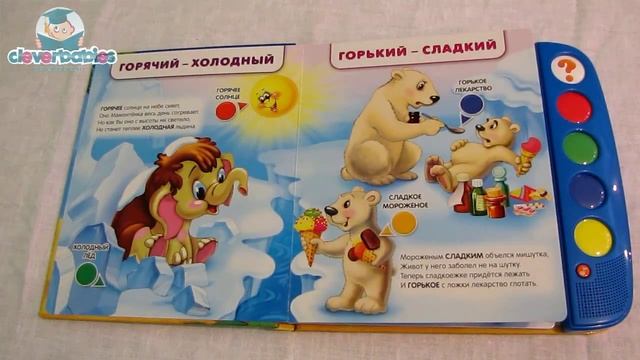 Азбукварик. Логика. Видео-обзор смотреть онлайн