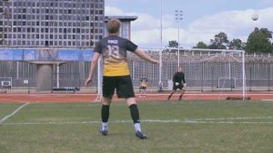 Удары от Роберто Карлоса и команды freekickerz