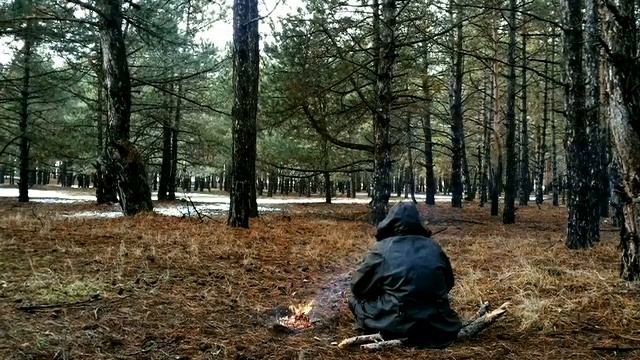 03 Семена созерцания