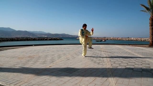 тайцзи Чэнь Синьцзя Море 2015 смотреть онлайн