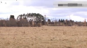 Zon Mark 4 пропановая пушка для отпугивания птиц