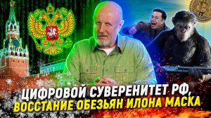 Мозговые чипы и федеральное расследование, снег, деньги, апельсины сонных водителей | В цепких лапах