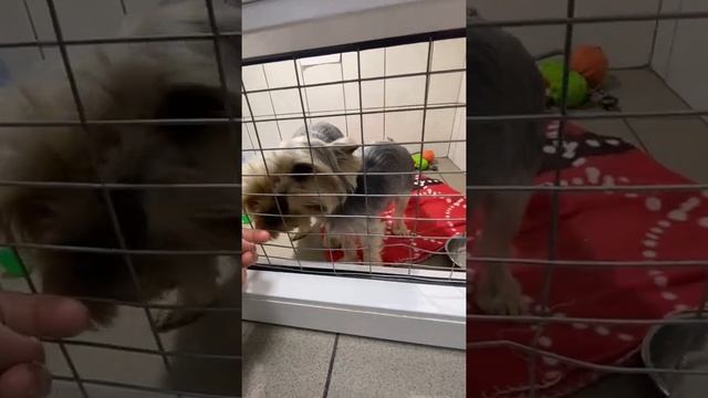 прямое включение из клиники смотреть онлайн