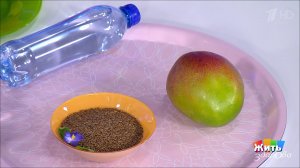 Натуральные слабительные. Жить здорово! Фрагмент выпуска от 04.04.2019