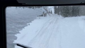 Зырянин с Лосём в зимнем поле