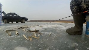 Рыбалка на навагу на р.Речица!!! рыбалка на махалки