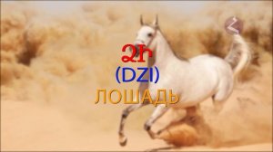 Армянский язык  Самоучитель.  Урок 9